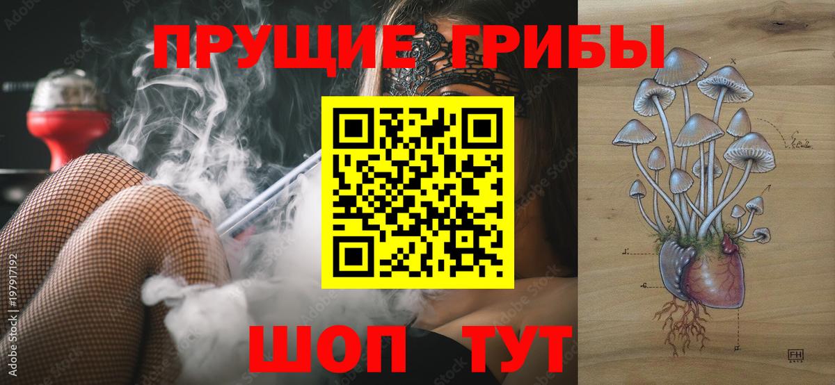 Галлюциногенные грибы Psilocybine cubensis  Вход с VPN  Соликамск  Галлюциногенные грибы Magic Shrooms 