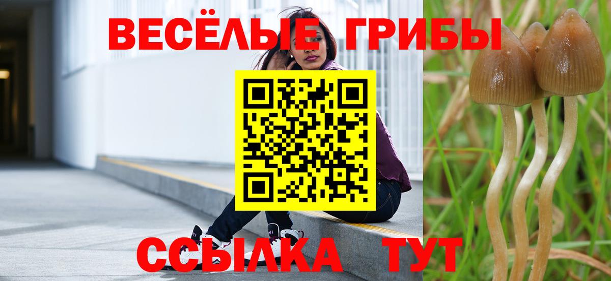 Галлюциногенные грибы мицелий Соликамск